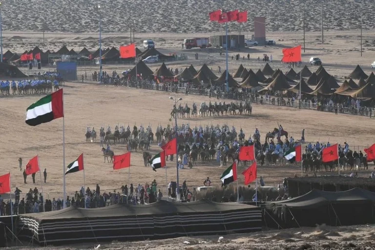 جناح دولة الإمارات يخطف الأضواء في انطلاق الموسم الثقافي "أمكار طانطان 6 جناح دولة الإمارات يخطف الأضواء في انطلاق الموسم الثقافي “أمكار طانطان