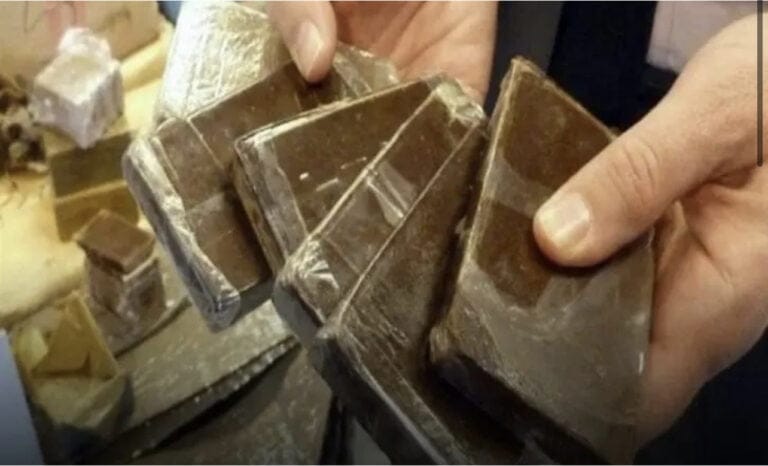 ‎إفشال عملية لتهريب 350 كيلوغرام من مخدر “الشيرا”