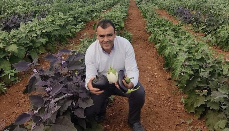 كمال أبركاني.. باحث مغربي يتصدى للجفاف بالعلم