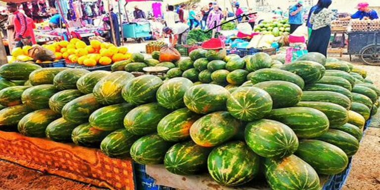 قرار عاملي يمنع زراعة البطيخ الأحمر والأصفر هذه السنة 4 قرار عاملي يمنع زراعة البطيخ الأحمر والأصفر هذه السنة