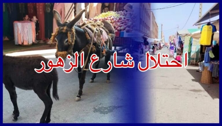 فوضى  ظاهرة إحتلال الملك العمومي والأرصفة بشارع “الزهور” بالعروي تسائل المسؤوليين