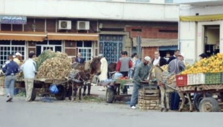 العروي : تشكل أسواق عشوائية بالحي الاداري و شارع الزهور ومطالب بتكثيف جهود السلطة المحلية