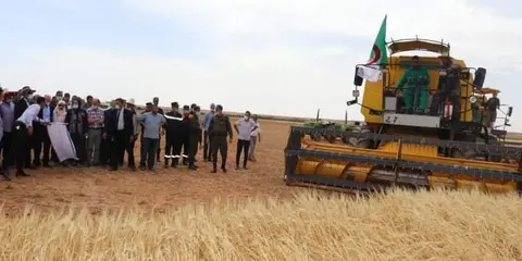 ‎ما صورته الكاميرات يحصده فلاح مغربي متوسط لوحده.. الجزائر ثاني مستورد للقمح في العالم..