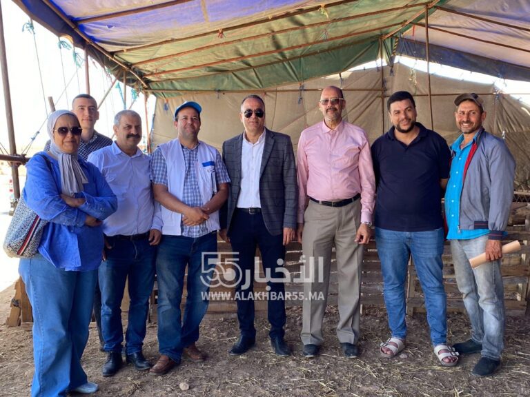 العروي : لجنة اقليمية مختلطة لمراقبة أضاحي العيد