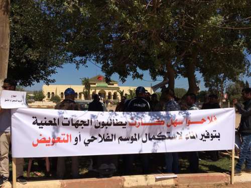 ‎كارثة زراعية في الناظور.. فلاحو سهل كرت وصبرة يعتزمون الاعتصام يوم السبت امام مقر جماعة بني وكيل اولاد محند