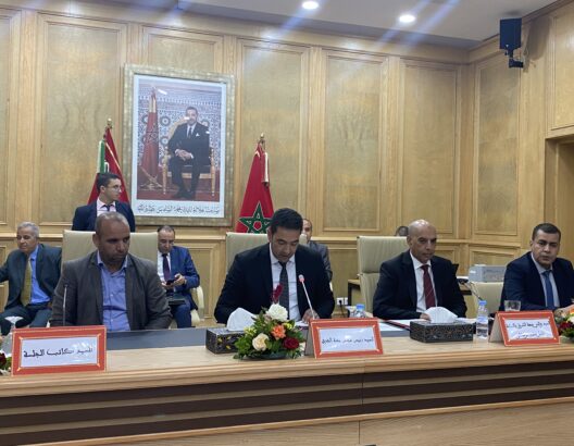 انتخاب بوعرورو رئيسا جديدا لمجلس جهة الشرق وعلاء بركاوي ومينة عاطف نوابا عن التجمع الوطني للاحرار