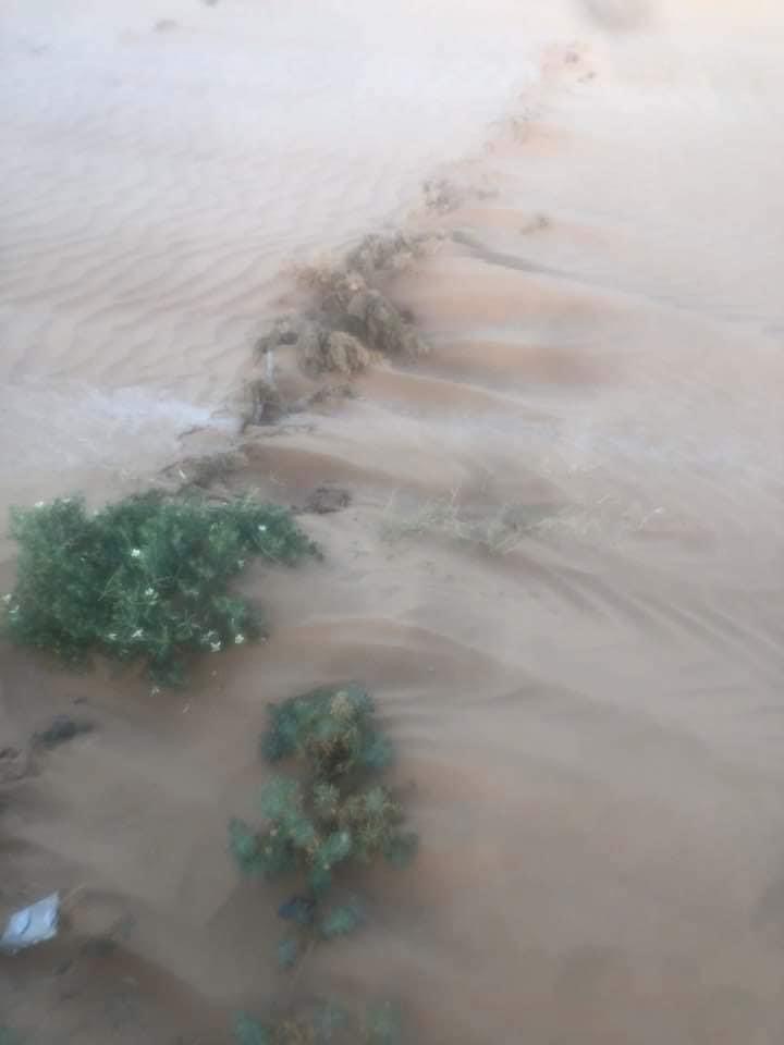 صور: التصحر وصل إلى بوابة إقليم الناظور صور الكثبان الرملية من جماعة أفسو ، سهل گرواو اصبح صحراء قاحلة وكثبان رملية متنقلة 5 صور: التصحر وصل إلى بوابة إقليم الناظور صور الكثبان الرملية من جماعة أفسو ، سهل گرواو اصبح صحراء قاحلة وكثبان رملية متنقلة