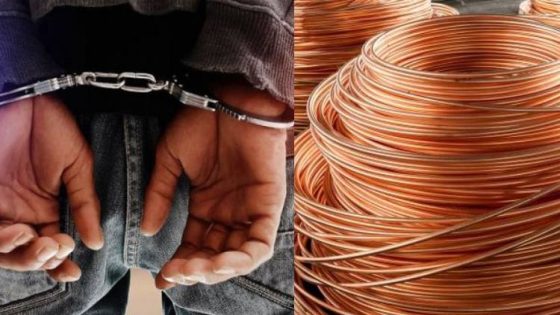 عصابة النحاس تضرب من جديد ضواحي الناظور 5 عصابة النحاس تضرب من جديد ضواحي الناظور