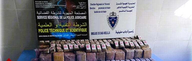 إحباط تهريب كمية من الشيرا بمعبر باب مليلية وتوقيف إسباني متورط في العملية
