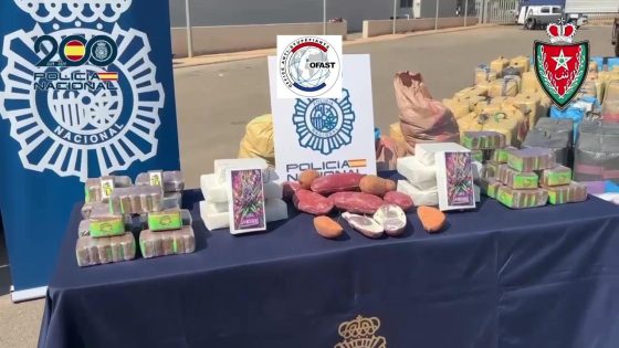 المعلومات وفرتها مخابرات المغرب … تفكيك شبكة لتهريب الحشيش بفضل تعاون أمني مغربي-إسباني-فرنسي