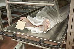 العثور على جثة متحللة لمواطن إسباني في شقته ببني انصار يثير صدمة الساكنة