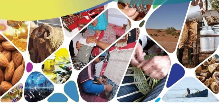 أرقام الاستثمار بجهة الشرق: 2874 شركة جديدة في ظرف خمسة اشهر والناظور يتصدر ب 1412 7 أرقام الاستثمار بجهة الشرق: 2874 شركة جديدة في ظرف خمسة اشهر والناظور يتصدر ب 1412