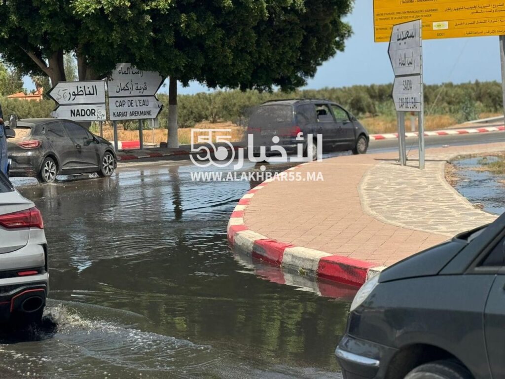 الأخبار55