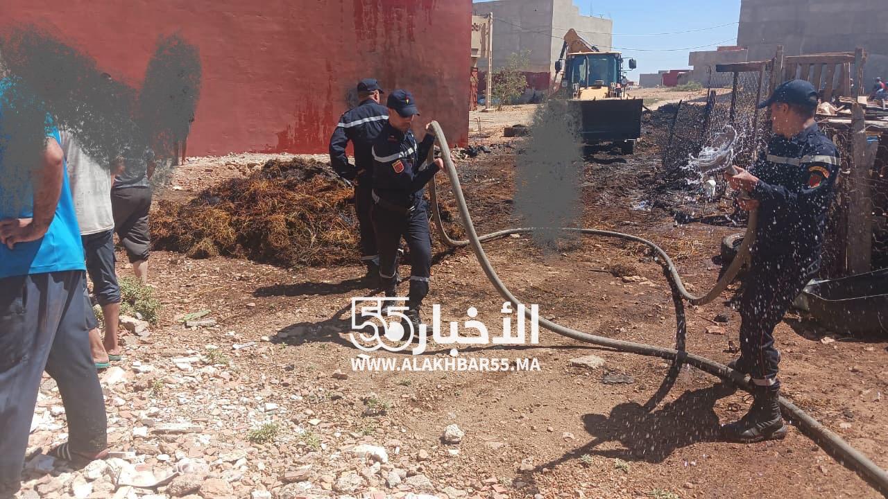 حريق باسطبل مواشي بحي الفتح بالعروي يكشف فوضى انتشار الأعشاش والأكشاك وسط الأحياء السكنية