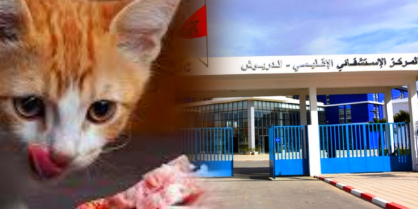 مواطن بالدريوش يدخل المستشفى بعد تناوله علبة طعام للقطط