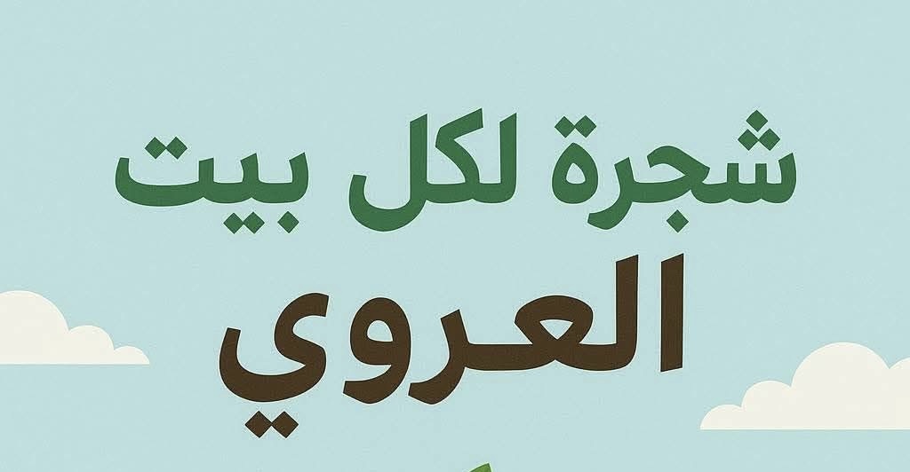 شاب من العروي يطلق مبادرة لتشجير شارع تطوان وتحسين جمالية المدينة