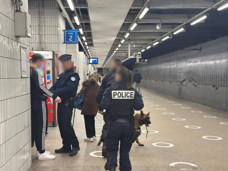 حملة أمنية واسعة بفرنسا تستهدف القطارات ومحيط محطّات سيرجي وسط تشديد الخناق على المهاجرين بدون أوراق 7 حملة أمنية واسعة بفرنسا تستهدف القطارات ومحيط محطّات سيرجي وسط تشديد الخناق على المهاجرين بدون أوراق