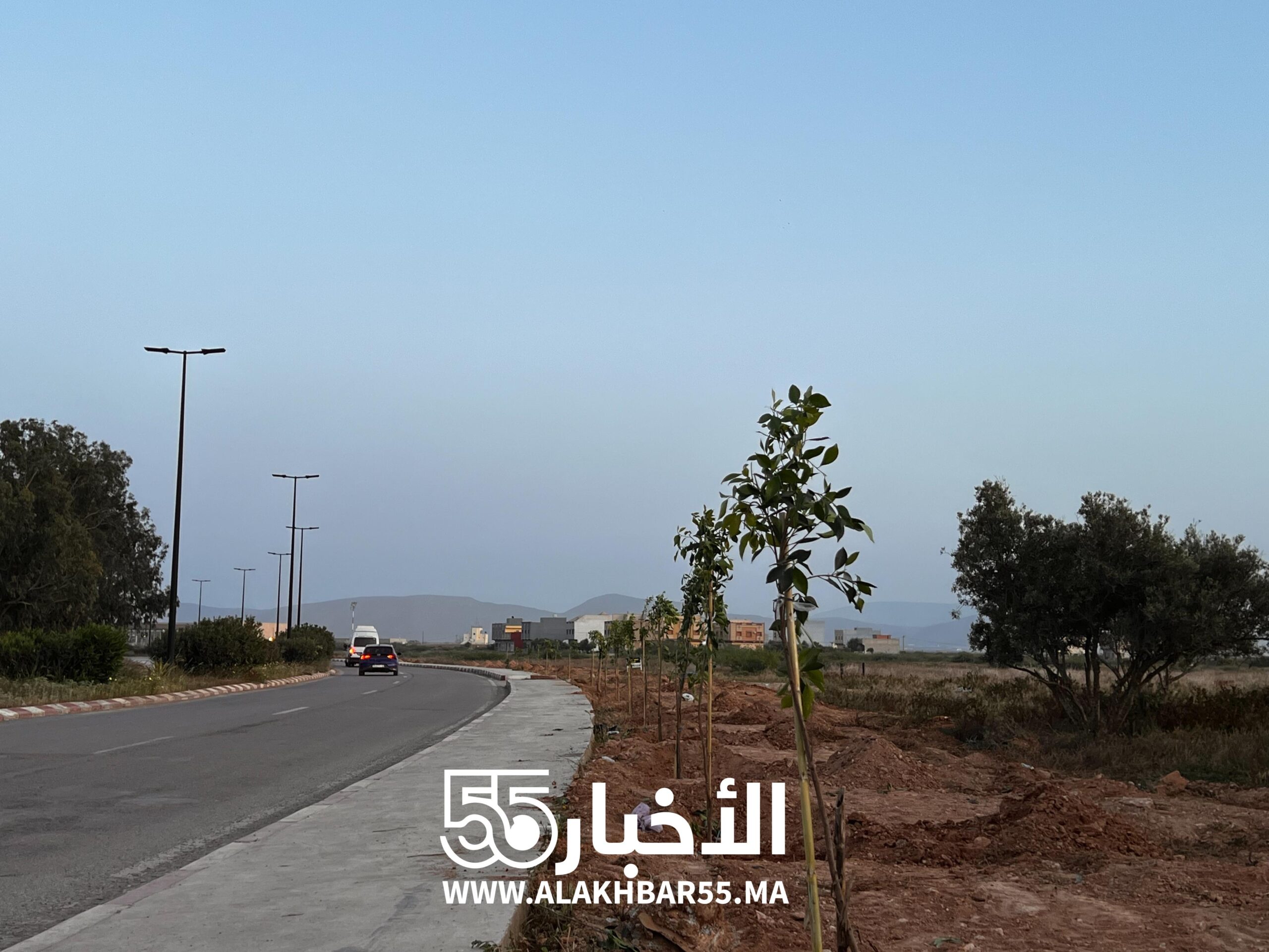 جماعة العروي تواصل حملة التشجير وتغرس أزيد من 1300 شجرة على طريق مطار العروي
