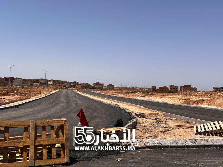 مشروع السكة نحو ميناء الناظور غرب المتوسط.. قنطرة الطريق المداري بالعروي تقترب من الافتتاح قبل عيد الأضحى