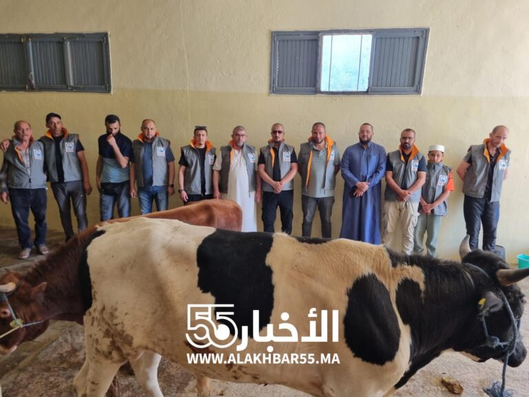 الأخبار55