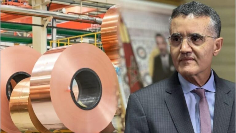 الناظور: مشروع صناعي صيني ضخم يعزز جاذبية “الناظور غرب المتوسط” ويدعم التحول الصناعي بالإقليم