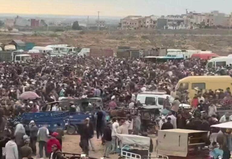 أسعار الأضاحي تُشعل الغضب بسوق سلوان.. ومخاوف من “سيناريو الشناقة” غداً بسوق العروي 3 أسعار الأضاحي تُشعل الغضب بسوق سلوان.. ومخاوف من “سيناريو الشناقة” غداً بسوق العروي