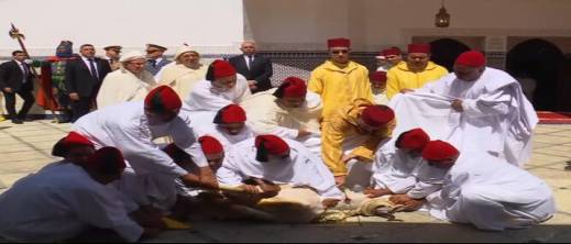 الأخبار55
