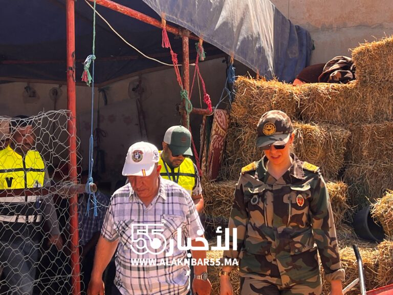 حملة مراقبة بالعروي لضبط نقاط بيع الأضاحي.. وتمنح مهلة 48 ساعة لازالة خيم بيع الاضاحي المؤقتة
