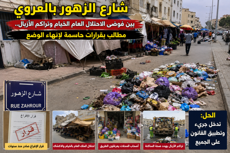 الأخبار55