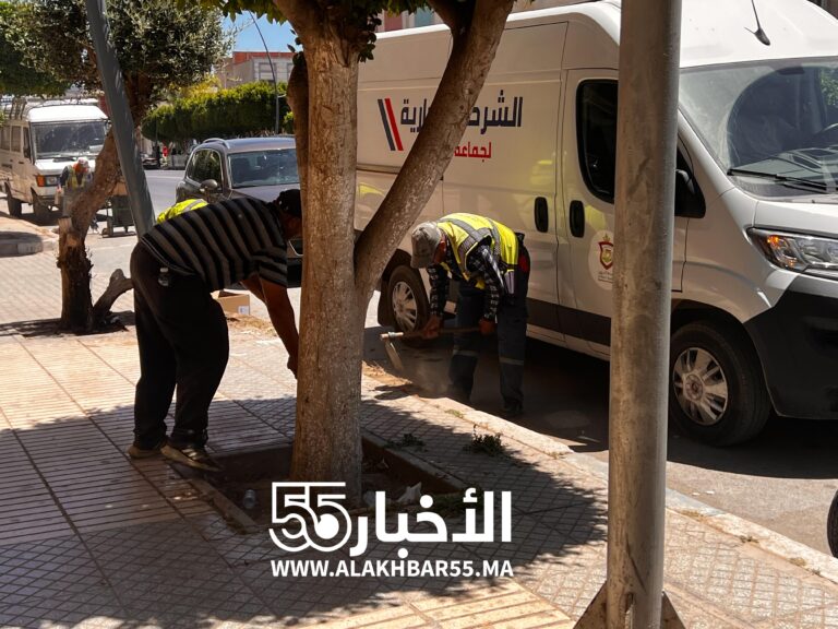 الأخبار55