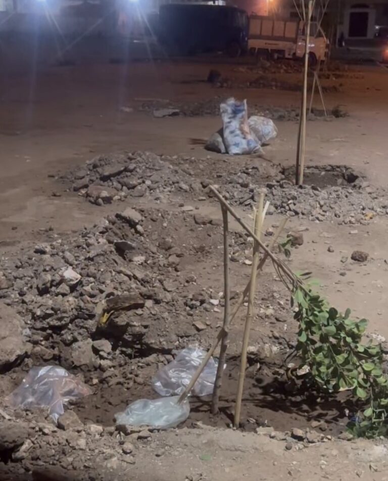 الأخبار55