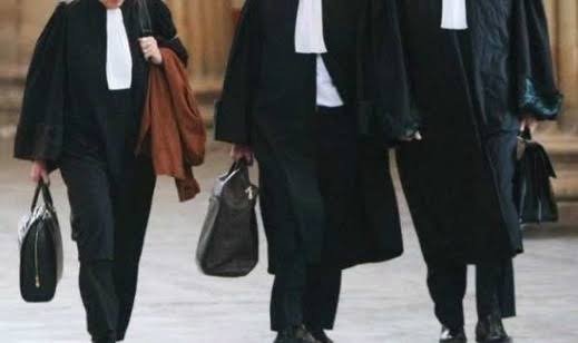 الأخبار55