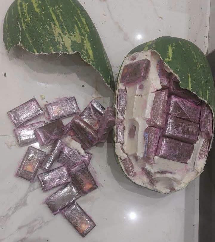 الأخبار55