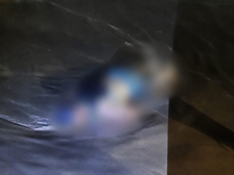 الأخبار55