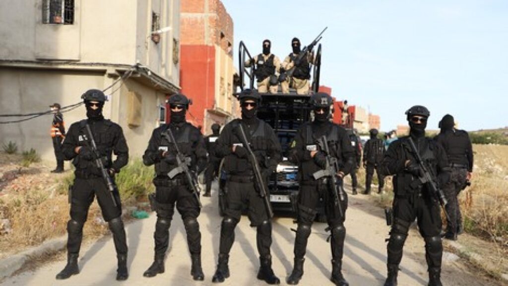 الأخبار55