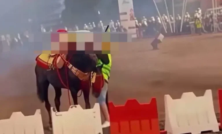 مصرع فارس شاب خلال عرض لـ”التبوريدة”