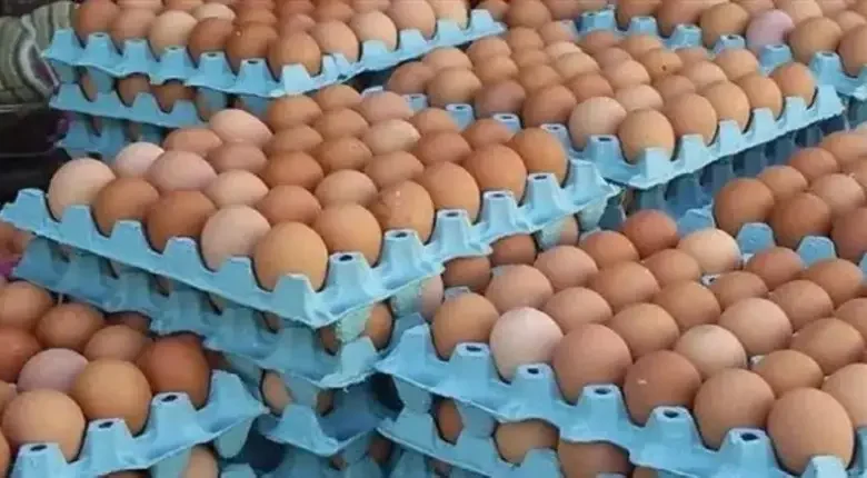 الأخبار55