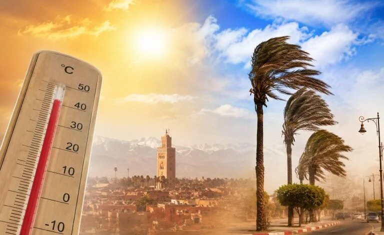 أجواء حارة ورياح قوية مرتقبة بعدد من مناطق المملكة غداً الإثنين