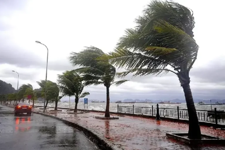 زخات رعدية وبَرَد ورياح قوية تضرب عدداً من مناطق المملكة اليوم الاثنين