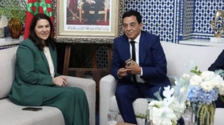 الاتحاد الدستوري يختار المساندة النقدية لحكومة المنصوري المرتقبة دون حقائب وزارية