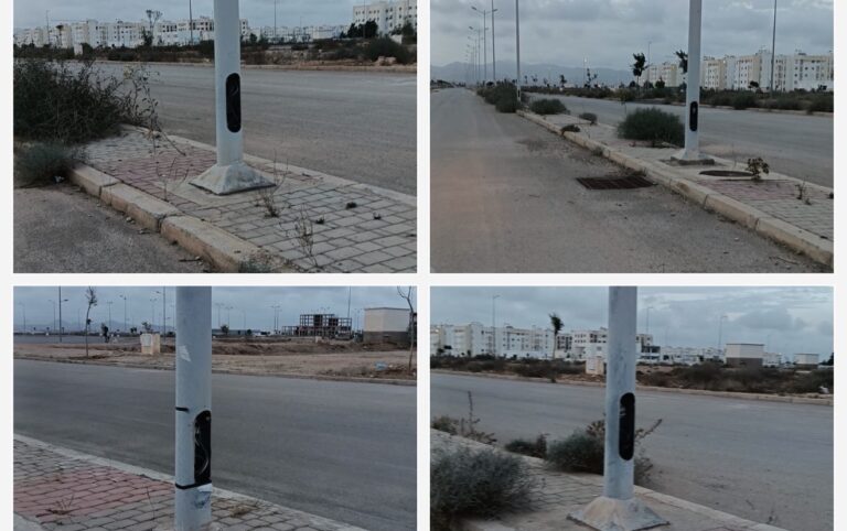 الأخبار55