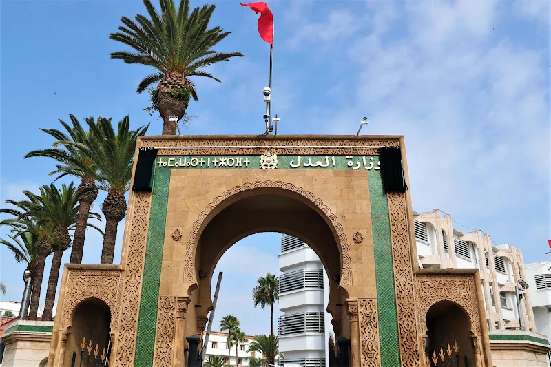 الأخبار55