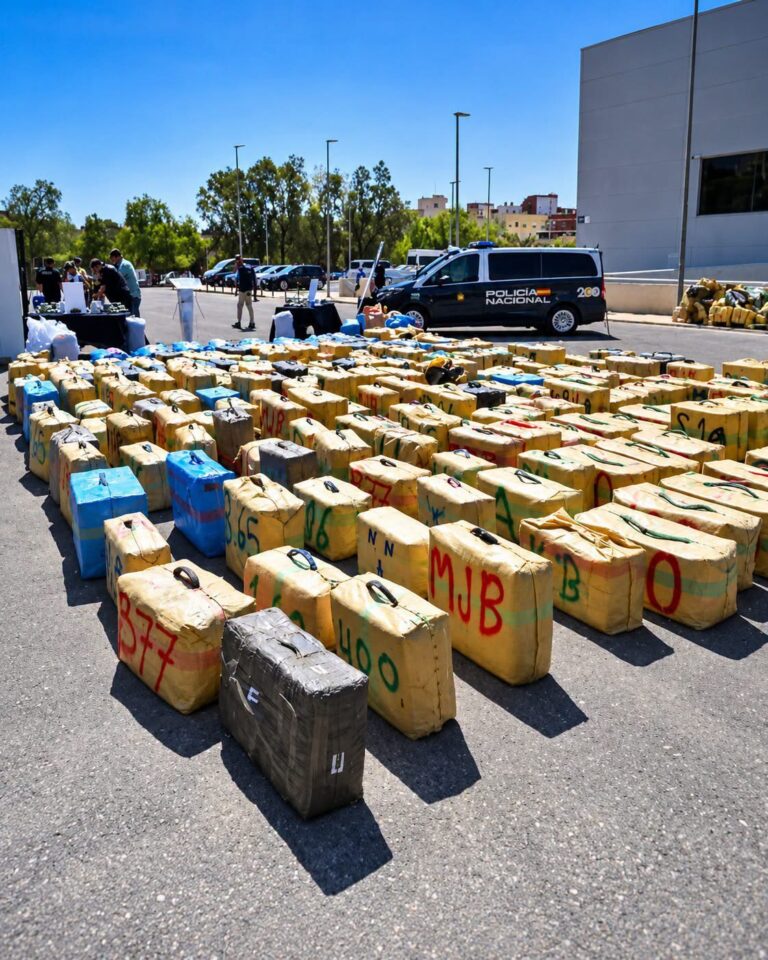 تفكيك شبكة دولية لتهريب الحشيش بين المغرب وإسبانيا.. توقيف 86 شخصاً وحجز نحو 11 طناً من المخدرات